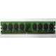 Модуль оперативной памяти 4096Mb DDR2 Patriot PSD24G8002 pc-6400 (800MHz)  (Люберцы)