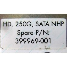 HP 250G 7.2k 432337-001/ 399699-001 / 397377-004 SATA HDD (Люберцы)