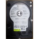 Б/У жёсткий диск 400Gb WD WD4000YR Caviar RE2 7200 rpm SATA  (Люберцы)