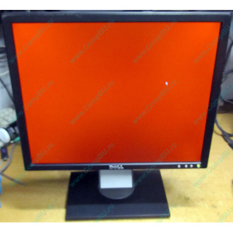 Dell E197F P в Люберцах, монитор 19" TFT Dell E197FPb (Люберцы)