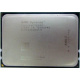 AMD Opteron 6128 OS6128WKT8EGO (Люберцы)