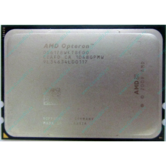 AMD Opteron 6128 OS6128WKT8EGO (Люберцы)